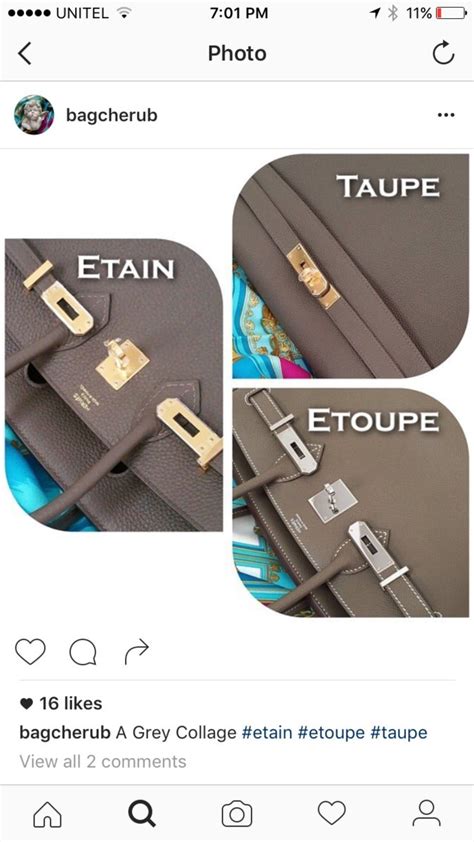 Hermes Birkin 30: taupe, etoupe or Etain, which one have